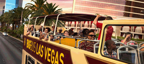 Buy tickets to Hop On Hop Off Las Vegas Tours on Showtimevegas.com